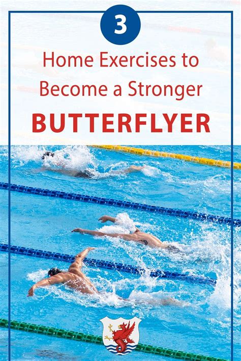 Learning Butterfly Tricks 的图像结果