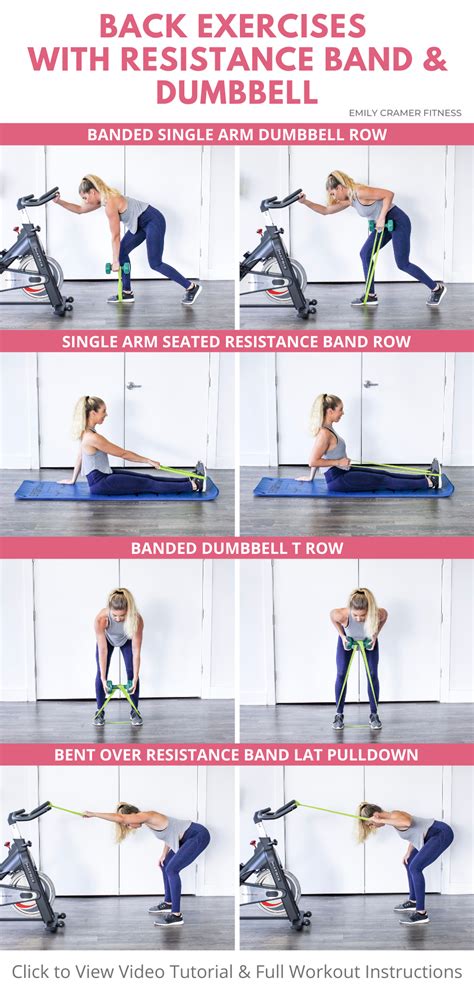 Exercises for Lower Back Using Resistance Bands 的图像结果