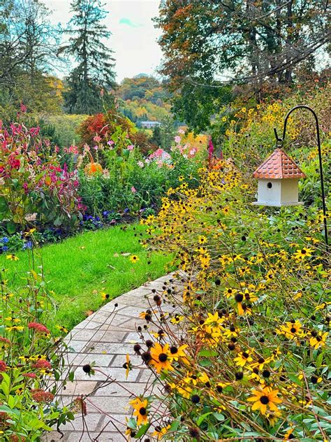 Autumn Garden Autumn In A Light Touch Garden | Francis Pryor In The