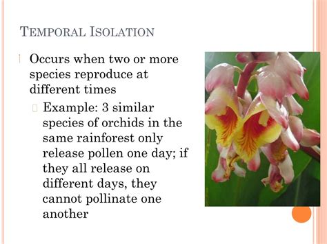 PPT - Chapter 17 Evolution of Populations PowerPoint Presentation, free ...