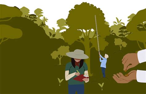 Forestry 的图像结果