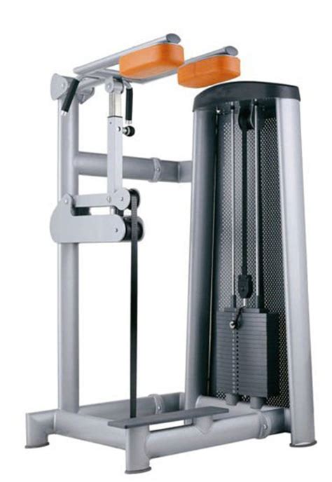 gym equipment names Standing Calf Raise Machine used in fitness center ...