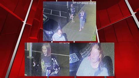 Westfield Police looking for alleged vandalism suspects
