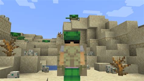 Image result for MinecraftTurtle Armor