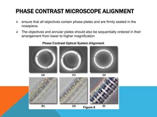 Image result for Phase Ring Alignment