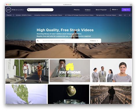 Top 20 Free Stock Video Footage Sites 2022 - Colorlib