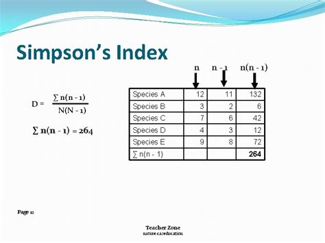 Image result for Computer Science Course Chart