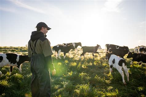 Ireland celebrates whopping food and drink exports for 2024