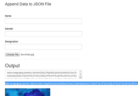 Image result for How to Add a JSON File in Files