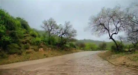 Everything You Need To Know About Salalah's Khareef Season