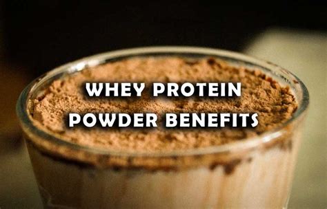 Image result for Protein Powder Benefits