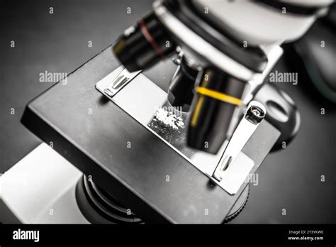 Image result for Microscope Slide View