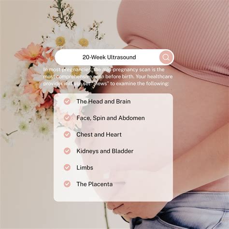 20-Week Scan: What to Expect