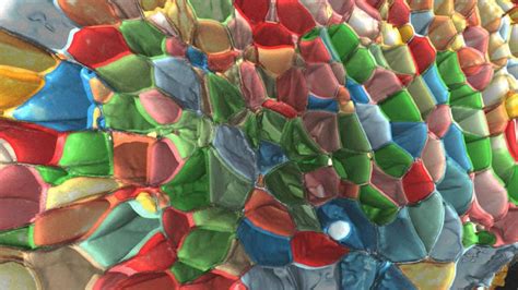 ZEISS arivis Pro Webinar | 2: Basic 3D Segmentation & Analysis Tasks