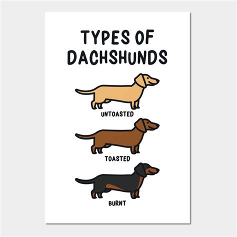 Types of Dachshunds by inkpopco | Cute dog quotes, Funny dachshund ...