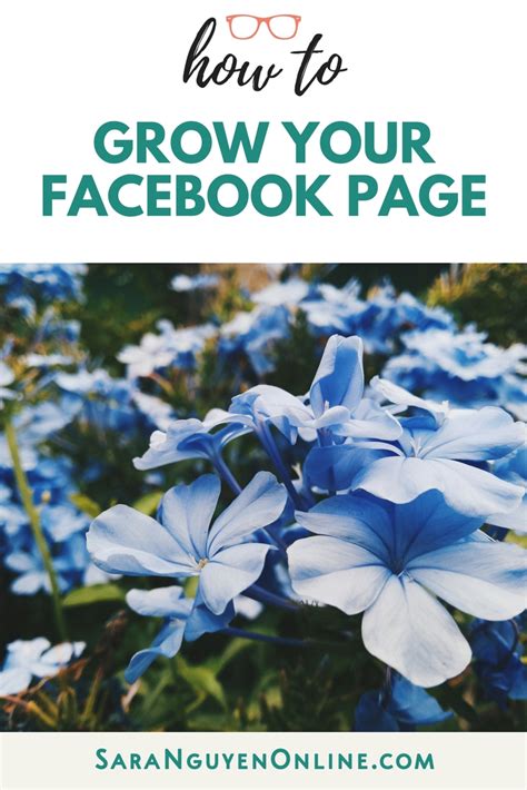 Image result for Facebook Page Tips