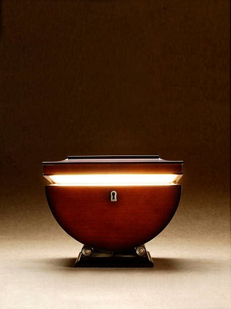 Image result for Pandora Box Panel