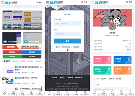 FE2 VIP 的图像结果