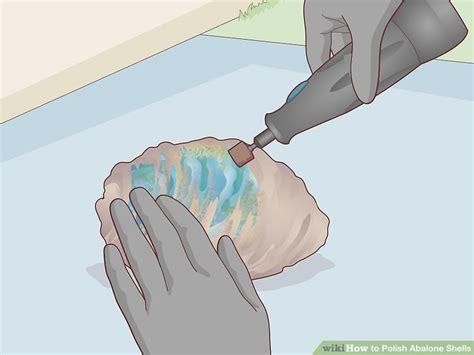 How to Polish Shells 的图像结果