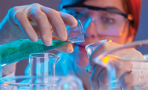 Image result for Understanding Rabbit Behavior