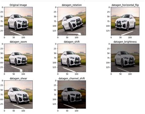 Image result for Include Data Augmentation Part in Transfer Learning of a Classification Model