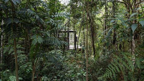 巴西 热带丛林中的“L”小木屋 - hhlloo