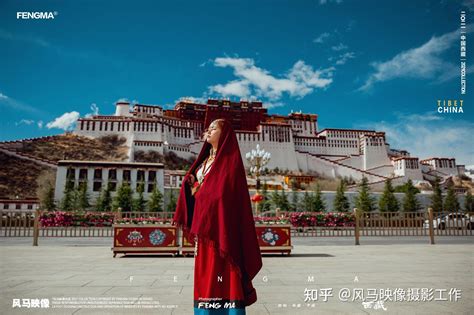 拉萨自助旅游图片.游记 - 雪域西藏7日游 第2天：拉萨 布达拉宫（六） - 美景旅游网