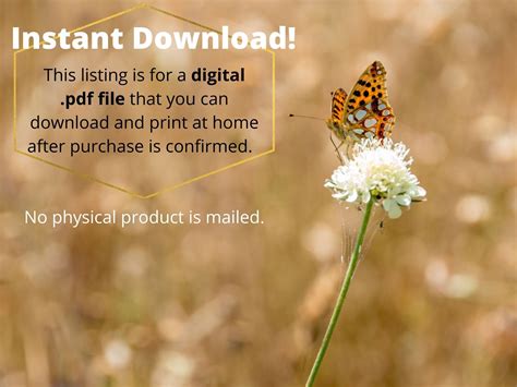 How to Use Nature's Compass 的图像结果