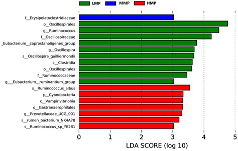 Nitrogen Utilization and Ruminal Microbiota of Hu Lambs in Response to ...