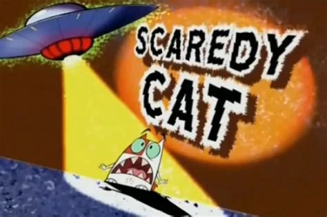 Image result for Scared Scratch Cat
