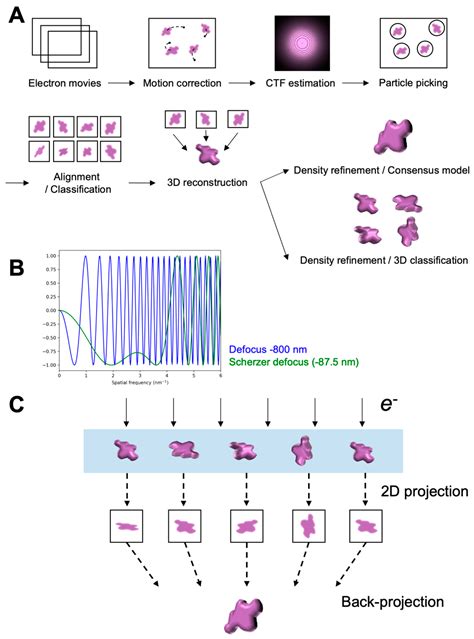 Probing Structural Perturbation of Biomolecules by Extracting Cryo-EM ...