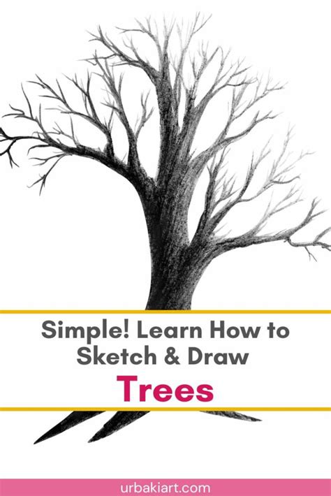 Image result for Scetching Lesson How to Draw a Tree