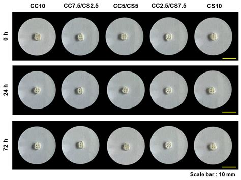 Development of 3D Printable Calcium Phosphate Cement Scaffolds with ...