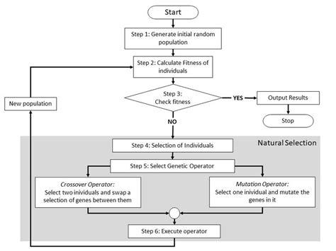 Image result for Genetic Algorithm Background
