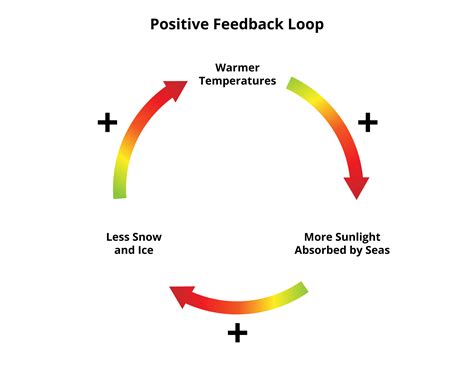 Image result for Negative Feedback Loop Global Warming
