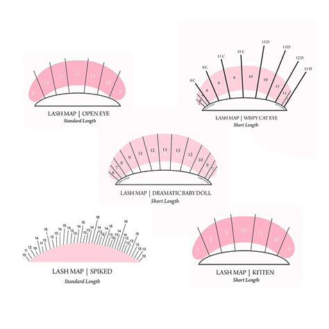 Free Lash Mapping Guide | Eyelash extensions, Eyelashes, Lashes