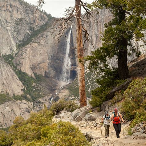 Adventure Trip 的图像结果