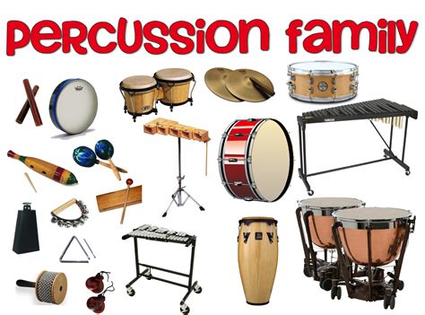 Musical Instruments and their Families Series: The Percussion Family ...