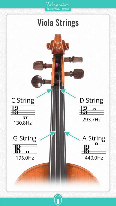 Image result for Viola String Instrument