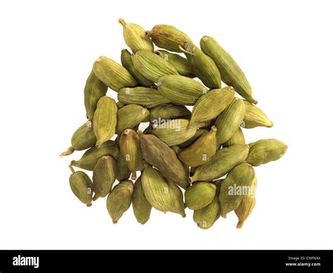 Green cardamon pods hi-res stock photography and images - Alamy