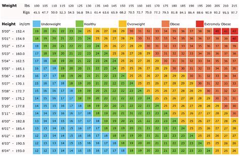 Image result for Random or Regular Pattern Worksheet
