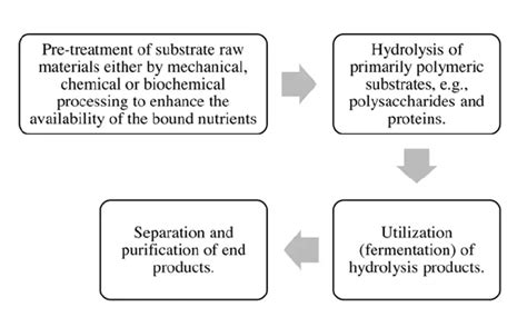 Semi Solid State Fermentation 的图像结果