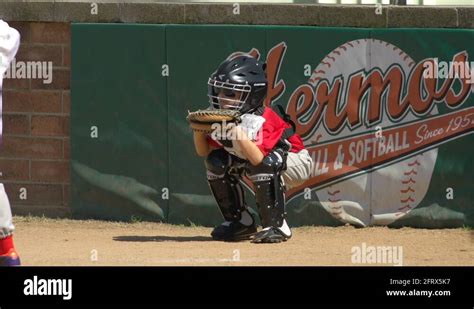 Baseball Kids 的图像结果