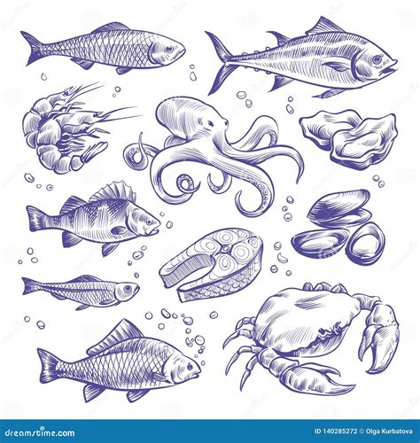Seafoods Hand Drawn. Sea Fishes Oysters Mussels Lobster Squid Octopus ...