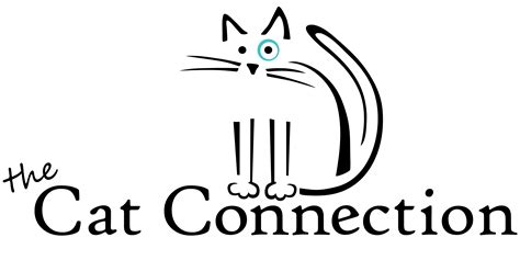 The Cat Connection Boarding and Grooming in Dallas, TX