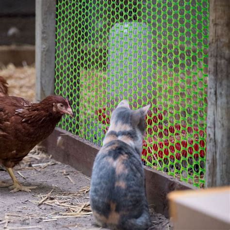 Tree Guard, 4X5 ft seamless Round, with 1 Cutter & 50 Tie locks ...