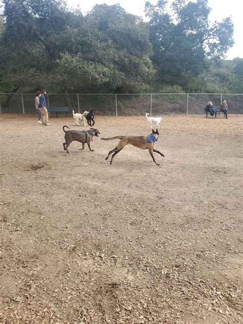 Pantera Dog Park - 738 Pantera Dr, Diamond Bar, CA 91765 - Hours ...