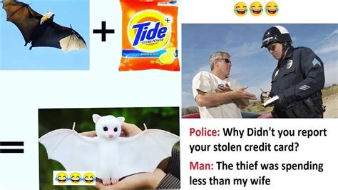 Education Meme 的图像结果