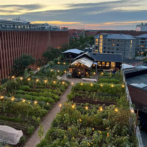 GRO EATERY, Copenhagen - Østerbros - Menu, Prices & Restaurant Reviews ...