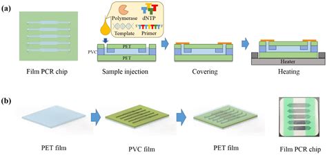 A Disposable and Multi-Chamber Film-Based PCR Chip for Detection of ...